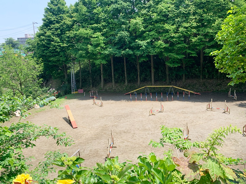 2段目アジリティ1