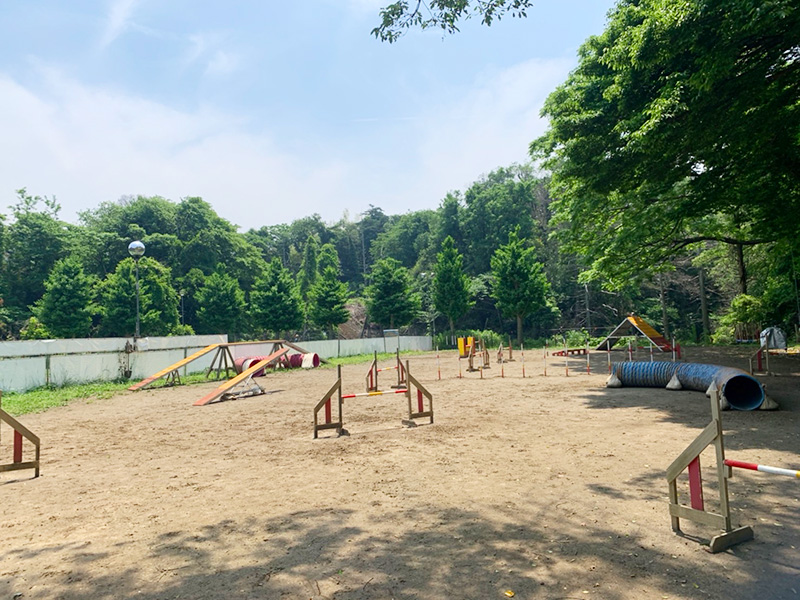 3段目アジリティ1