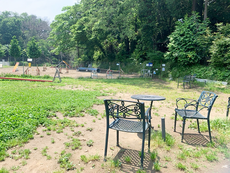 3段目アジリティ2