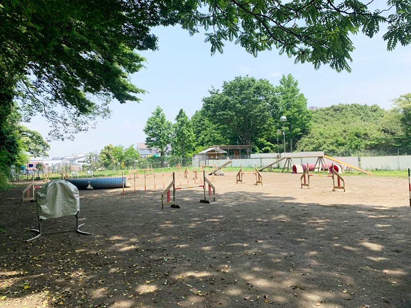 3段目アジリティ3