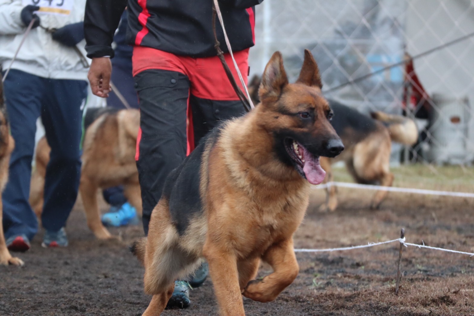 競技会・訓練試験用訓練2