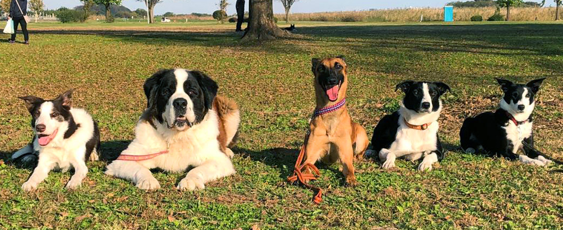 スクールについて