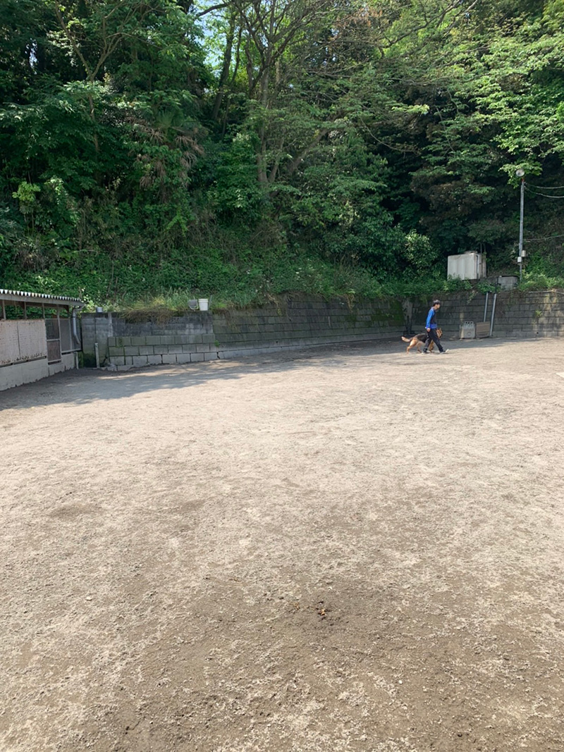 初級訓練グランド