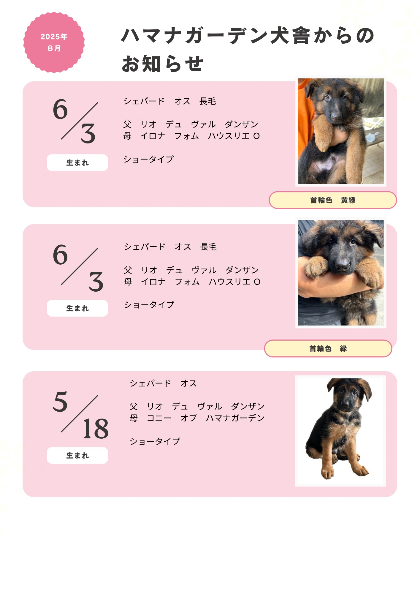 ハマナガーデン