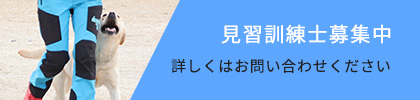 recruit_banner recruit_banner